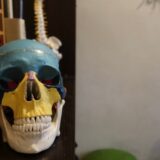 【尼崎・塚口】頭痛（群発性頭痛）：整体ハーポ